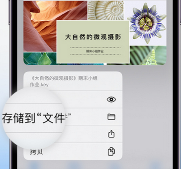 安龙apple维修中心分享iPhone文件应用中存储和找到下载文件