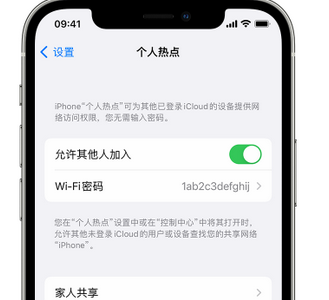 安龙apple服务站点分享iPhone上个人热点丢失了怎么办