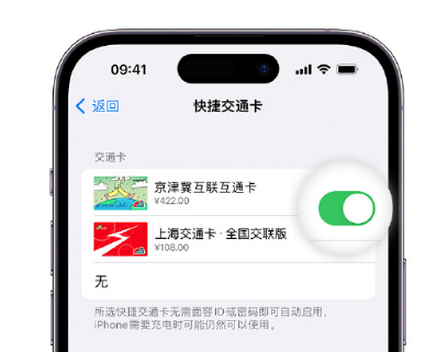 安龙apple维修点分享iPhone上更换Apple Pay快捷交通卡手绘卡面 