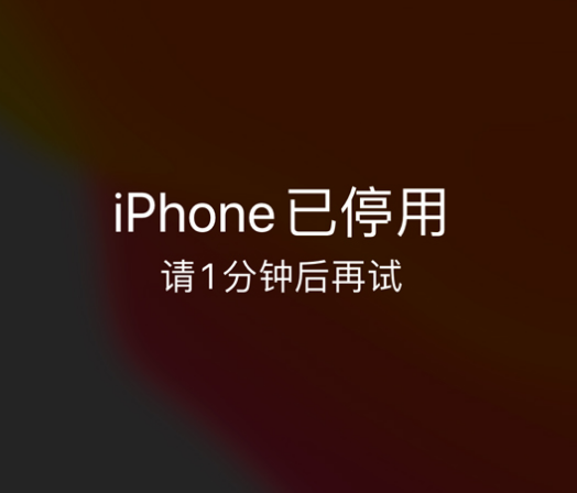 安龙苹果手机维修分享:iPhone 显示“不可用”或“已停用”怎么办？还能保留数据吗？ 