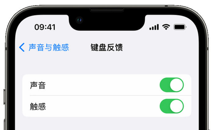 安龙苹果手机维修分享iPhone 14触感键盘使用方法 