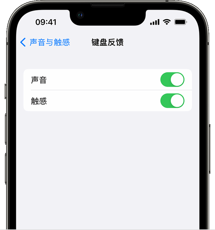 安龙苹果14维修店分享如何在 iPhone 14 机型中使用触感键盘 