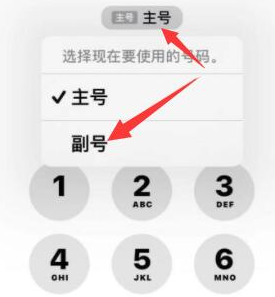 安龙苹果14维修店分享iPhone 14 Pro Max使用副卡打电话的方法 