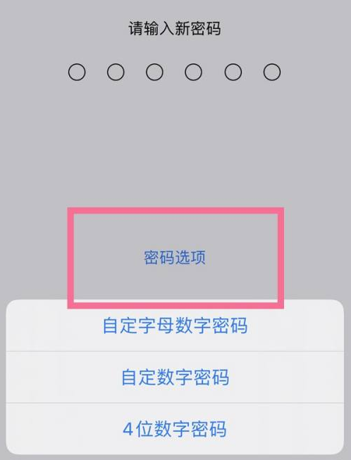 安龙苹果14维修分享iPhone 14plus设置密码的方法 