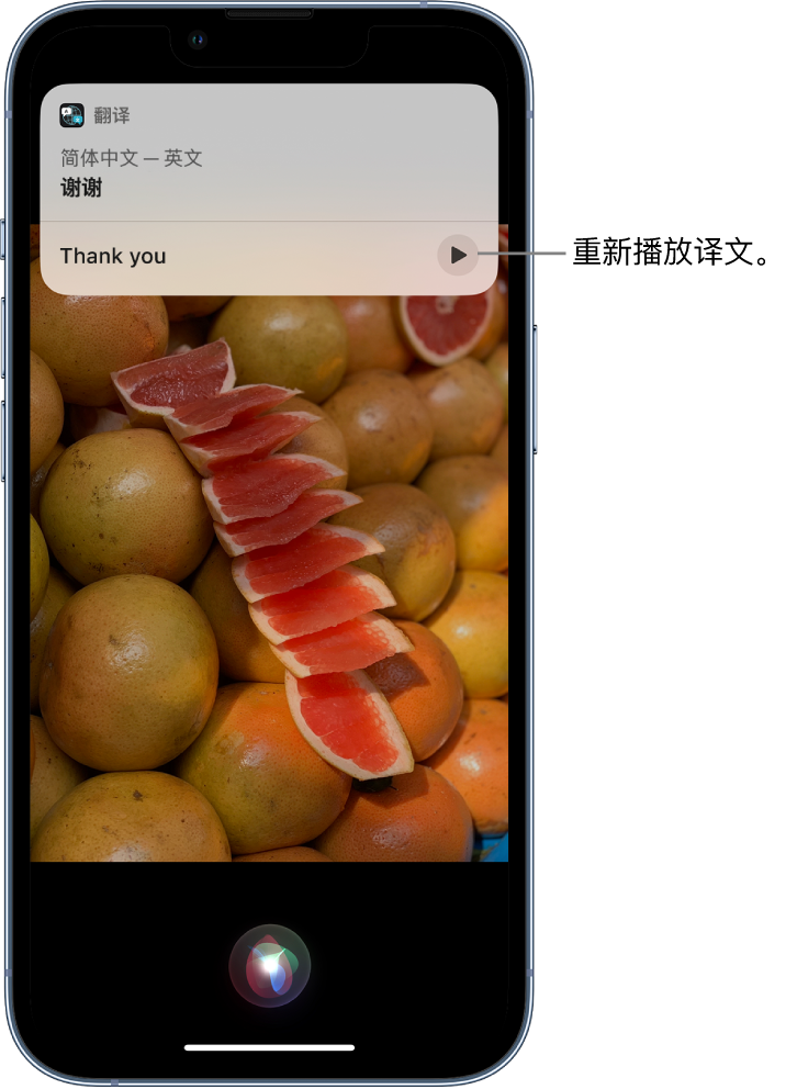 安龙苹果14维修分享 iPhone 14 机型中使用 Siri：了解 Siri 能帮你做什么 