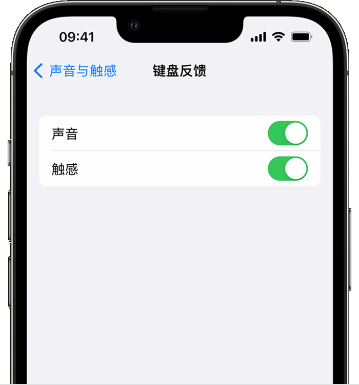 安龙苹果14维修分享iPhone 14 系列机型如何开启键盘声音或触感反馈 