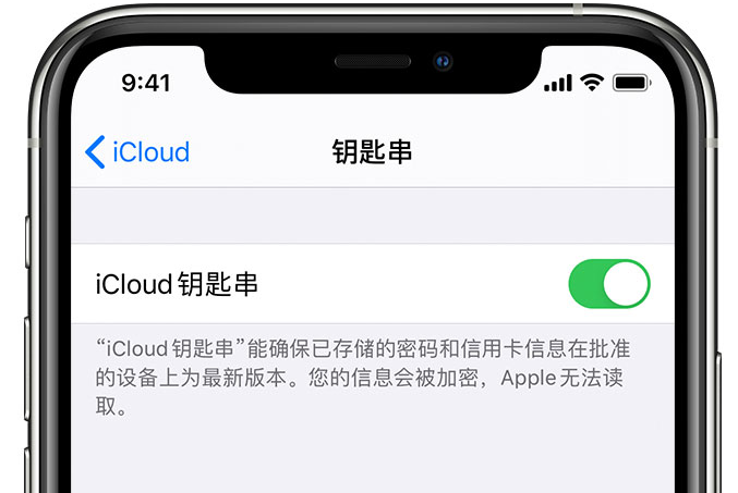 安龙苹果手机维修分享在 iPhone 上开启 iCloud 钥匙串之后会储存哪些信息 