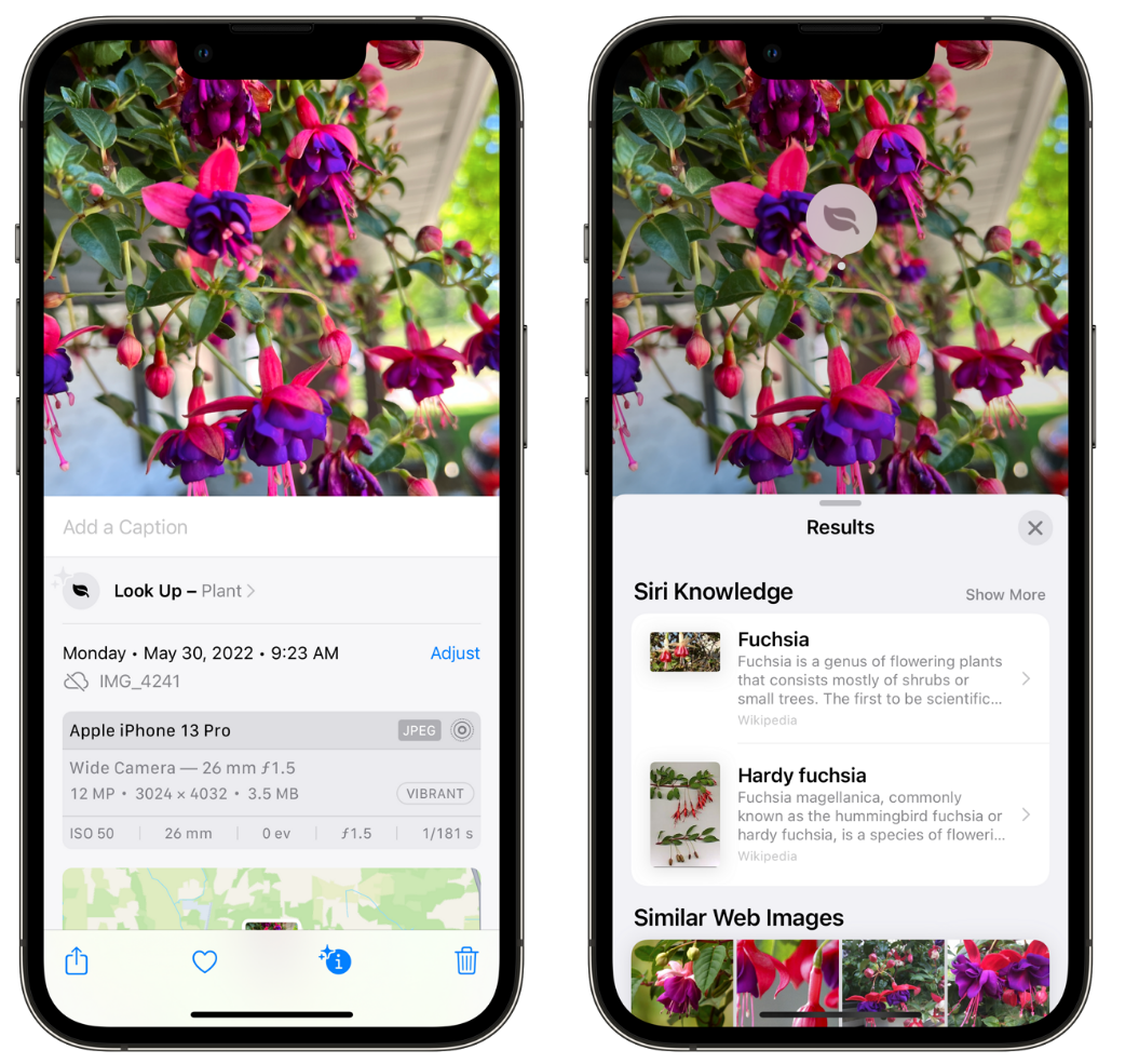 安龙苹果手机维修分享小技巧：使用 iPhone 相机识别花卉植物 