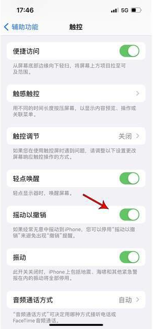 安龙苹果手机维修分享iPhone手机如何设置摇一摇删除文字 