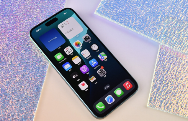 安龙苹果手机维修分享为什么大家不喜欢苹果iPhone 16 Plus 